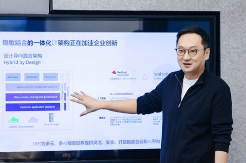 技術(shù)咨詢雙輪驅(qū)動(dòng) IBM為中國(guó)企業(yè)打造AI出海新底座